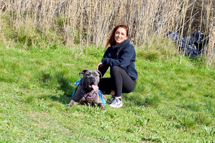 Édu'4 Pattes